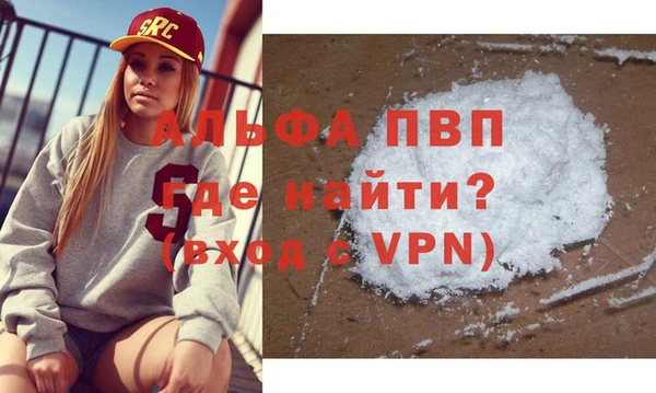 стаф Арсеньев