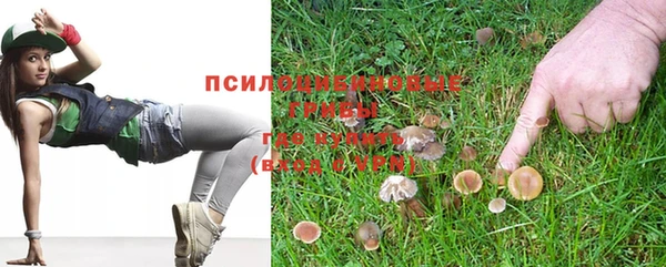 стаф Арсеньев