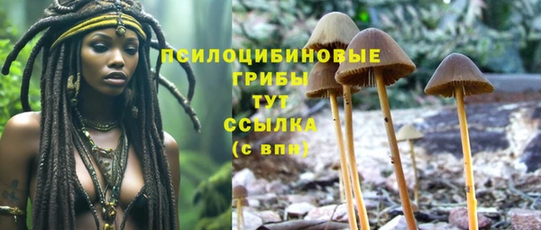 mix Коряжма