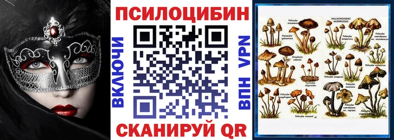 купить закладку  Прохладный  даркнет официальный сайт  Псилоцибиновые грибы мицелий 