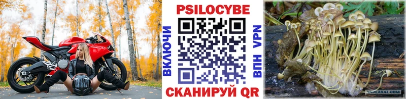 Галлюциногенные грибы GOLDEN TEACHER Прохладный